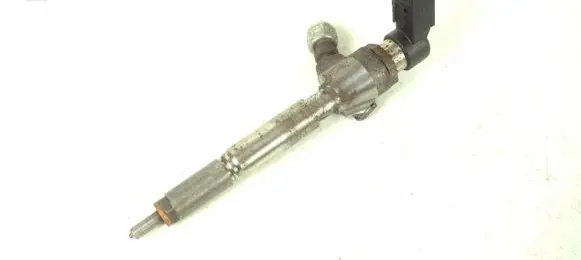 Nissan Qashqai Fuel injector H8200294788