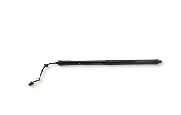 Ford C-MAX II Tailgate/trunk strut/damper 733186 733186102 933186