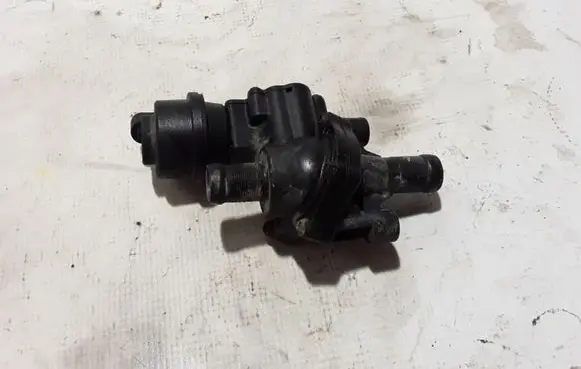 Renault Master III Thermostat 922301507R