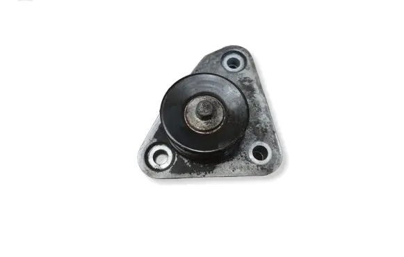 Jaguar XF X250 Generator/alternator belt tensioner