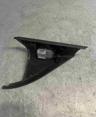 Other front door trim element