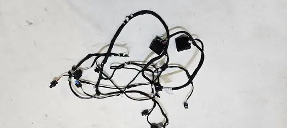 BMW X1 F48 F49 Front door wiring loom 19344411
