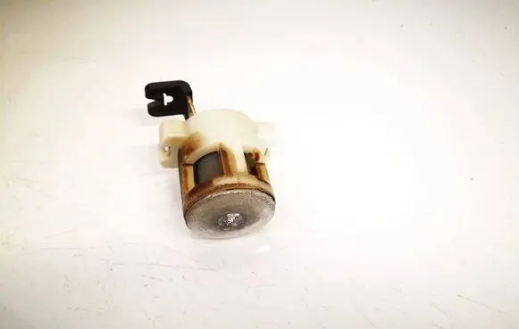 Chrysler Grand Voyager IV Tailgate exterior lock 