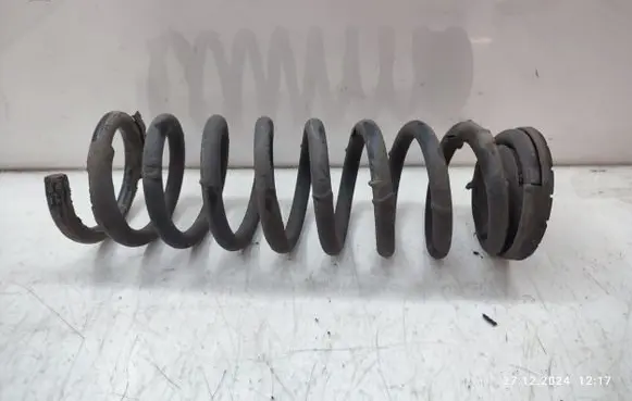 Rear coil spring