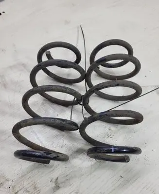 Rear coil spring
