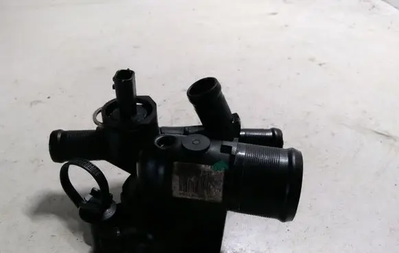 Thermostat/thermostat housing