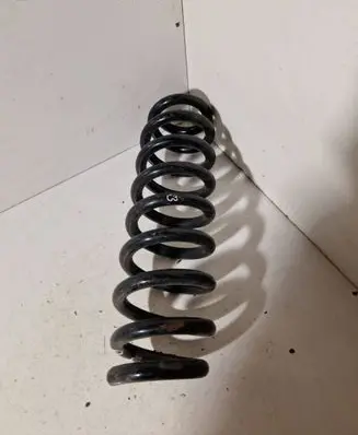 Rear coil spring