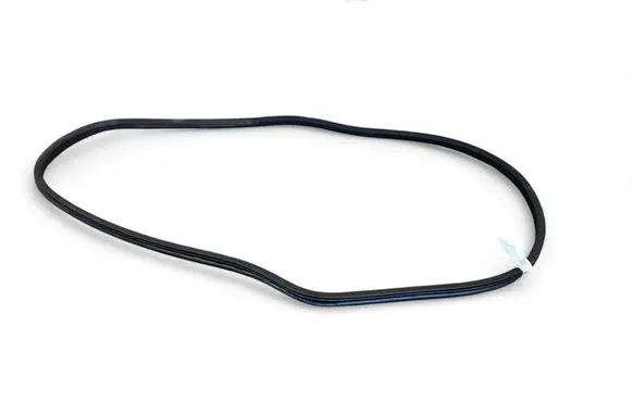 Front door rubber seal