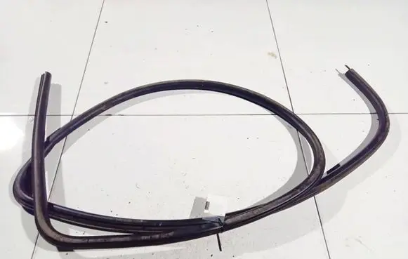 Ford Focus Rubber seal front coupe door 