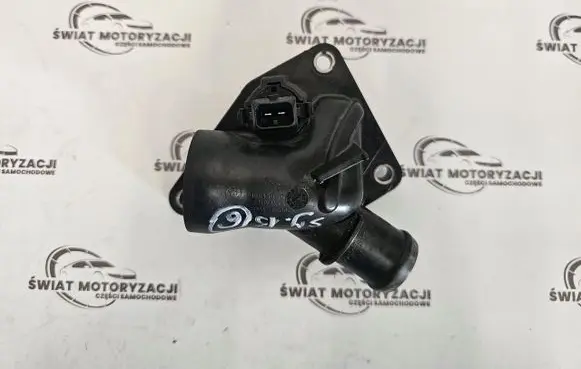 Thermostat/thermostat housing