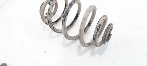 Volkswagen PASSAT B5 Rear coil spring