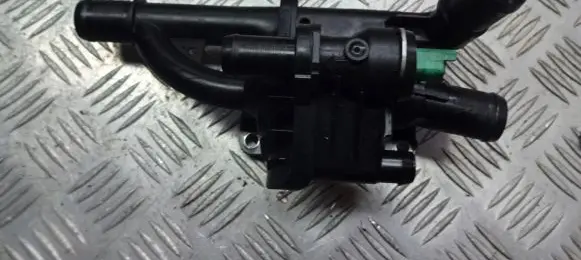 Thermostat/thermostat housing