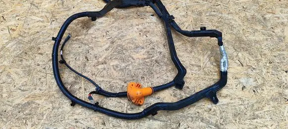 Other wiring loom