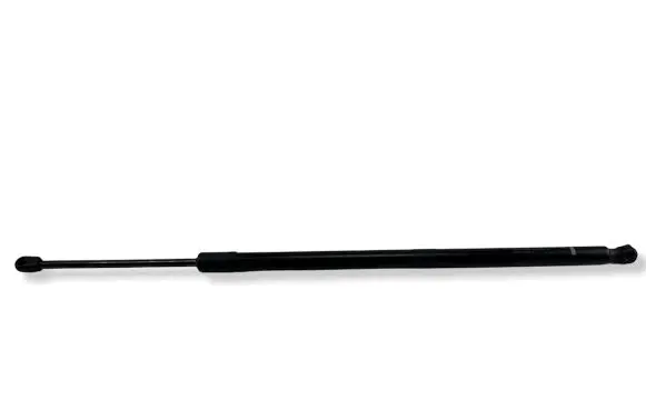 Tailgate strut