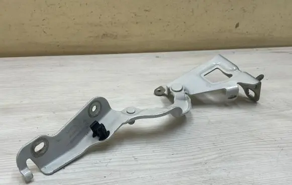 Opel Vivaro Engine bonnet/hood hinges 654004002R