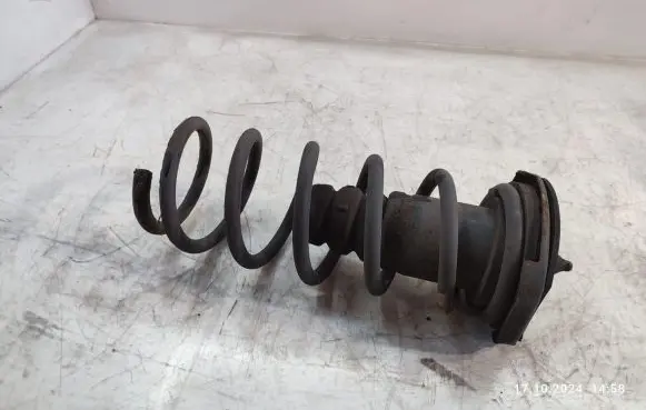 Volvo XC60 Rear coil spring