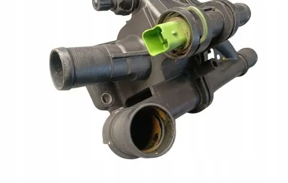 Thermostat/thermostat housing