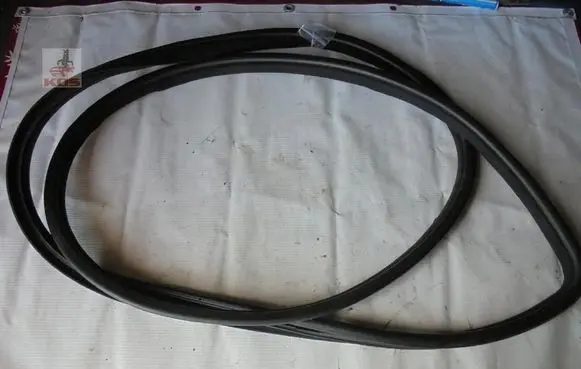 Hyundai Genesis Sliding door rubber seal 