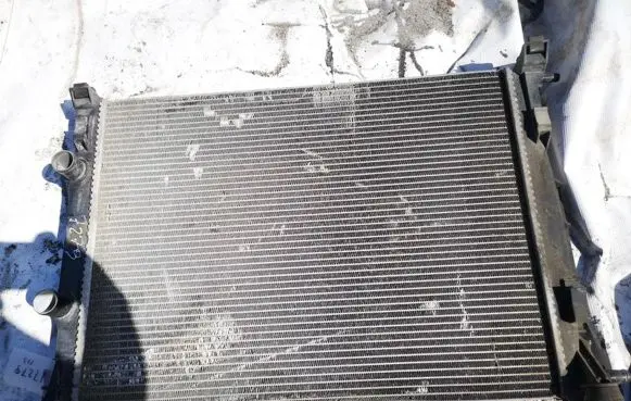 Renault Megane II Coolant radiator 8200117609