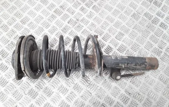 Peugeot 206 Front shock absorber with coil spring