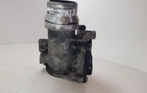 Nissan Juke I F15 Throttle valve 8200614985