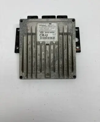 KIA Carnival Engine control unit/module 391024X520