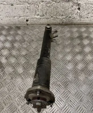 BMW X5 E70 Rear shock absorber/damper 6781931