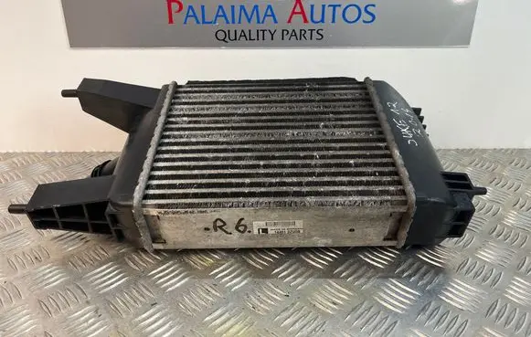 Nissan Juke I F15 Intercooler radiator 144613ZU0B