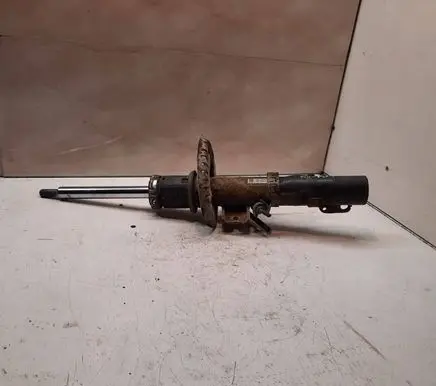 Skoda Roomster (5J) Front shock absorber/damper
