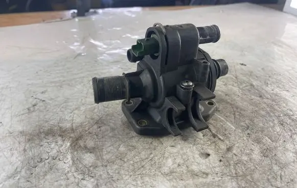 Thermostat/thermostat housing