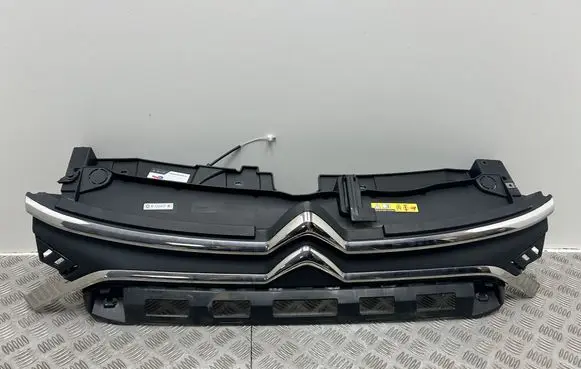 Front bumper upper radiator grill