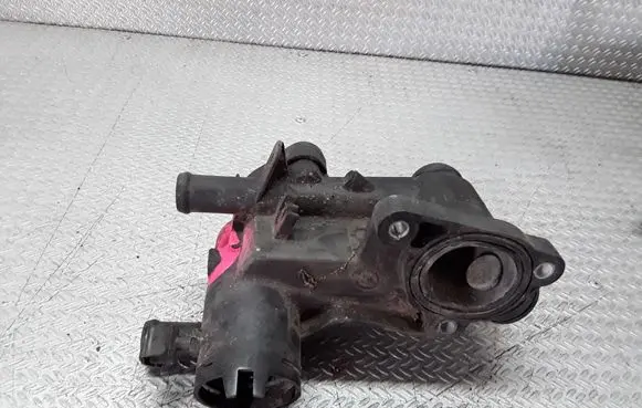 Thermostat/thermostat housing