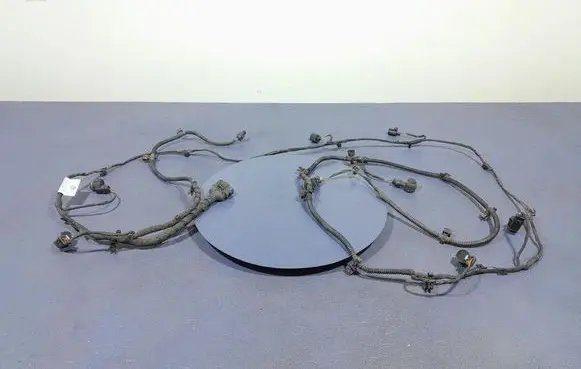 Volkswagen T-Roc Other wiring loom 2GA971104H