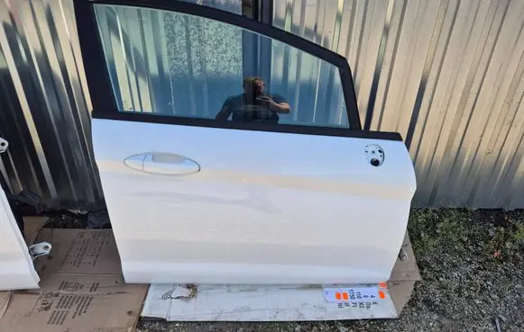Ford Fiesta Front door 