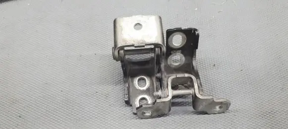 Renault Scenic III - Grand scenic III Rear door hinge set 804200003RH7
