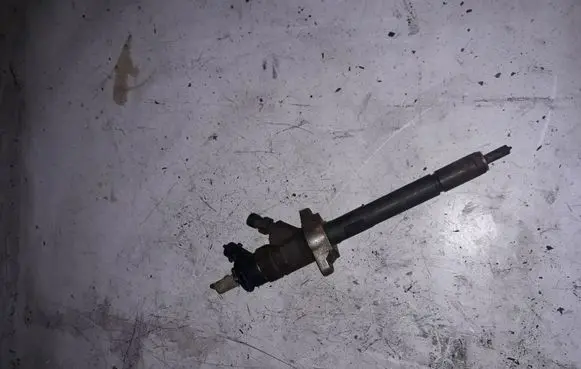 Peugeot 308 Fuel injector 0445110311