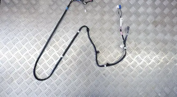 Tesla Model Y Other wiring loom 161669103D