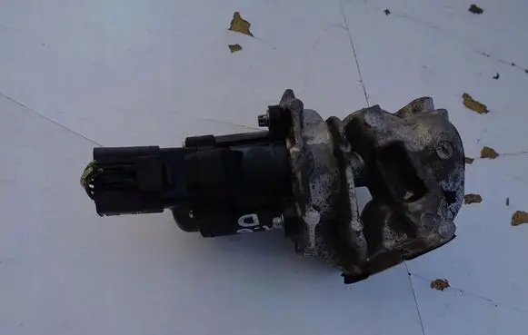 EGR valve