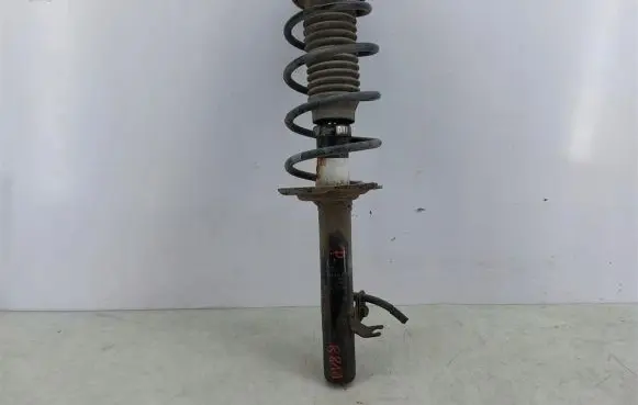 Peugeot 107 Front shock absorber with coil spring