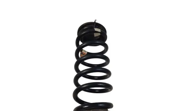 Rear coil spring