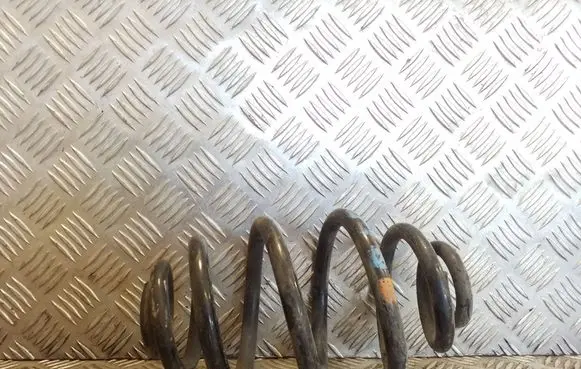 Rear coil spring