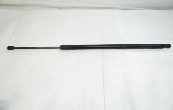 Tailgate strut