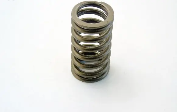 Fiat Grande Punto Valve spring