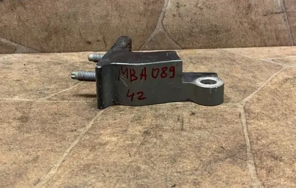 Rear door lower hinge