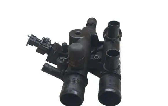Thermostat/thermostat housing