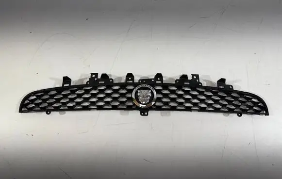 Jaguar F-Type Front grill EX538138A