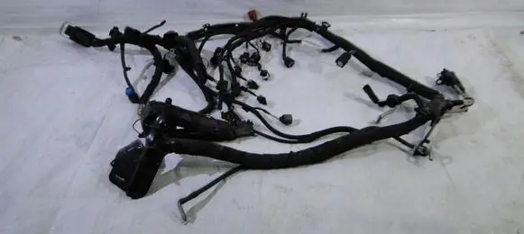 Ford Ecosport Other wiring loom
