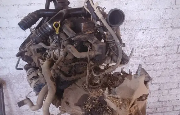 Ford Focus Engine