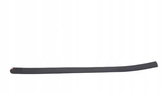 Fiat Palio Trim molding 100152389