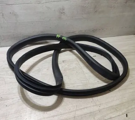 Renault Kangoo III Front door rubber seal PP34